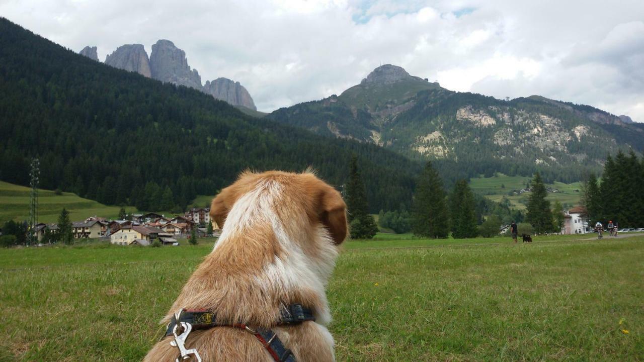 Apartamento Casamau Trilo Campitello di Fassa Exterior foto