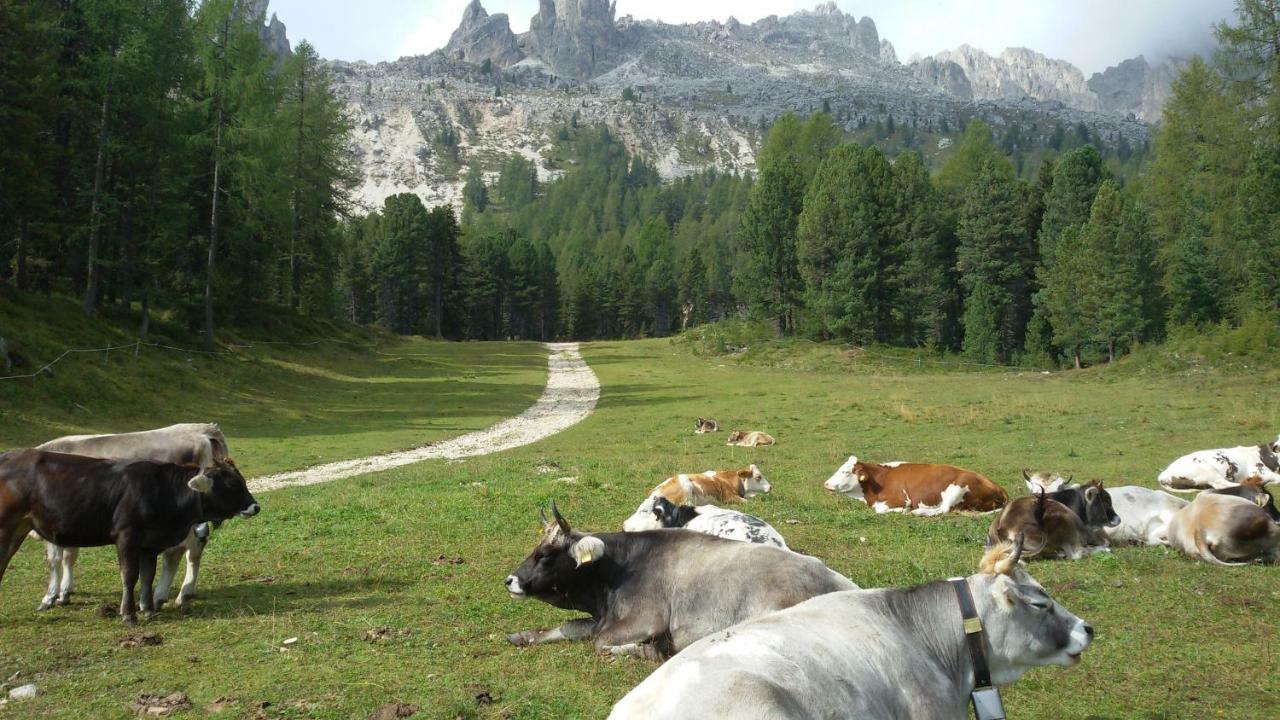 Apartamento Casamau Trilo Campitello di Fassa Exterior foto